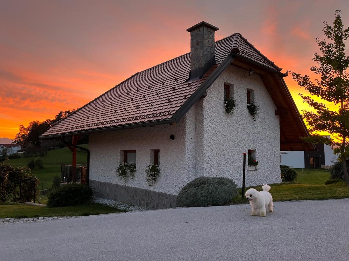 Holiday Home Dobrotin Vojnik Eksteriør billede