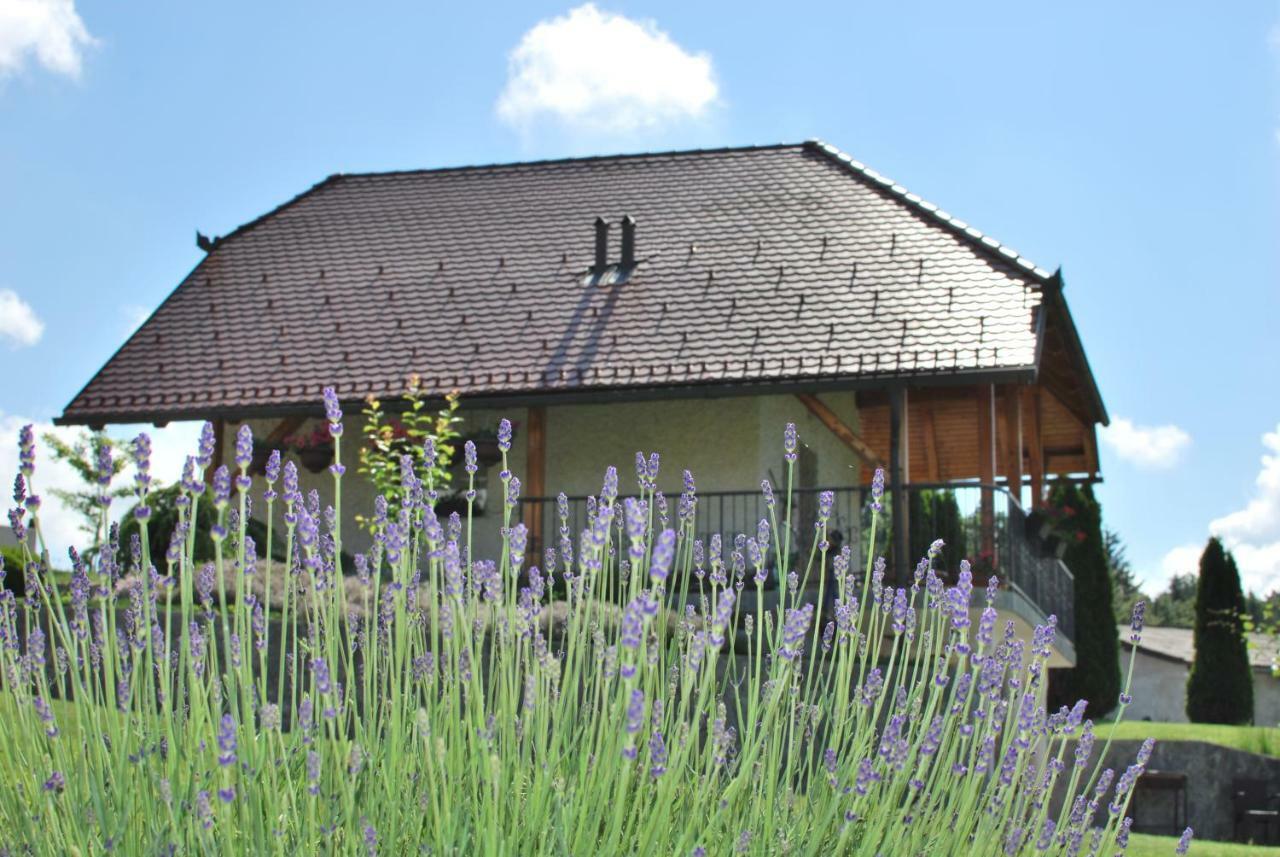 Holiday Home Dobrotin Vojnik Eksteriør billede