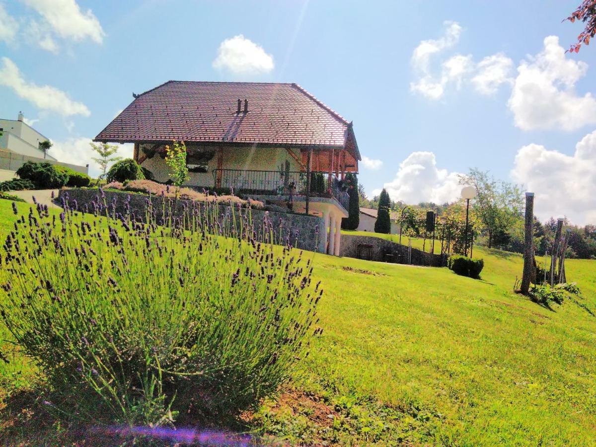 Holiday Home Dobrotin Vojnik Eksteriør billede