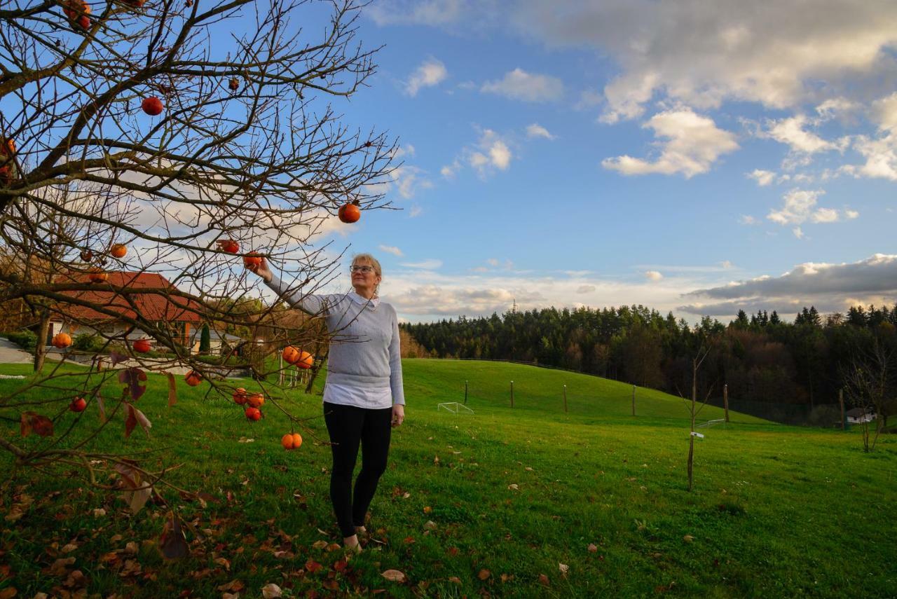 Holiday Home Dobrotin Vojnik Eksteriør billede